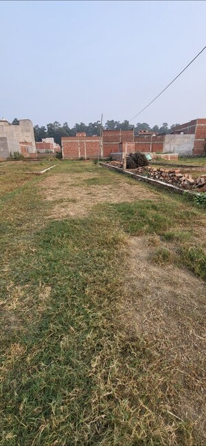 Plot Area in  Plot at Sarai Gulharia – for Sale