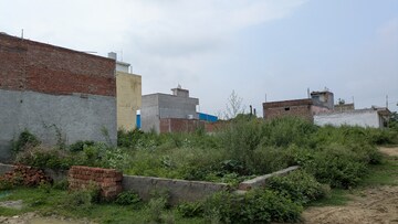 Plot Area in  Plot at Sector 142 – for Sale