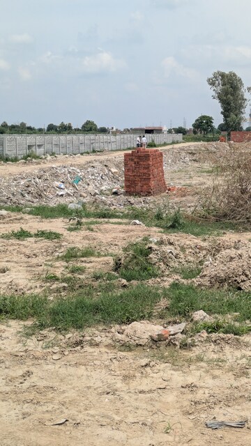 Plot Area in  Plot at Sector 142 – for Sale