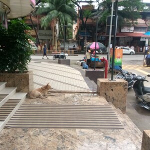  Shop – Exterior View View at Vraj Paras Residency, Goregaon West - for Rent