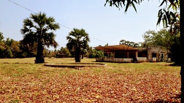 Plot Area in  Land at Virar East – for Rent