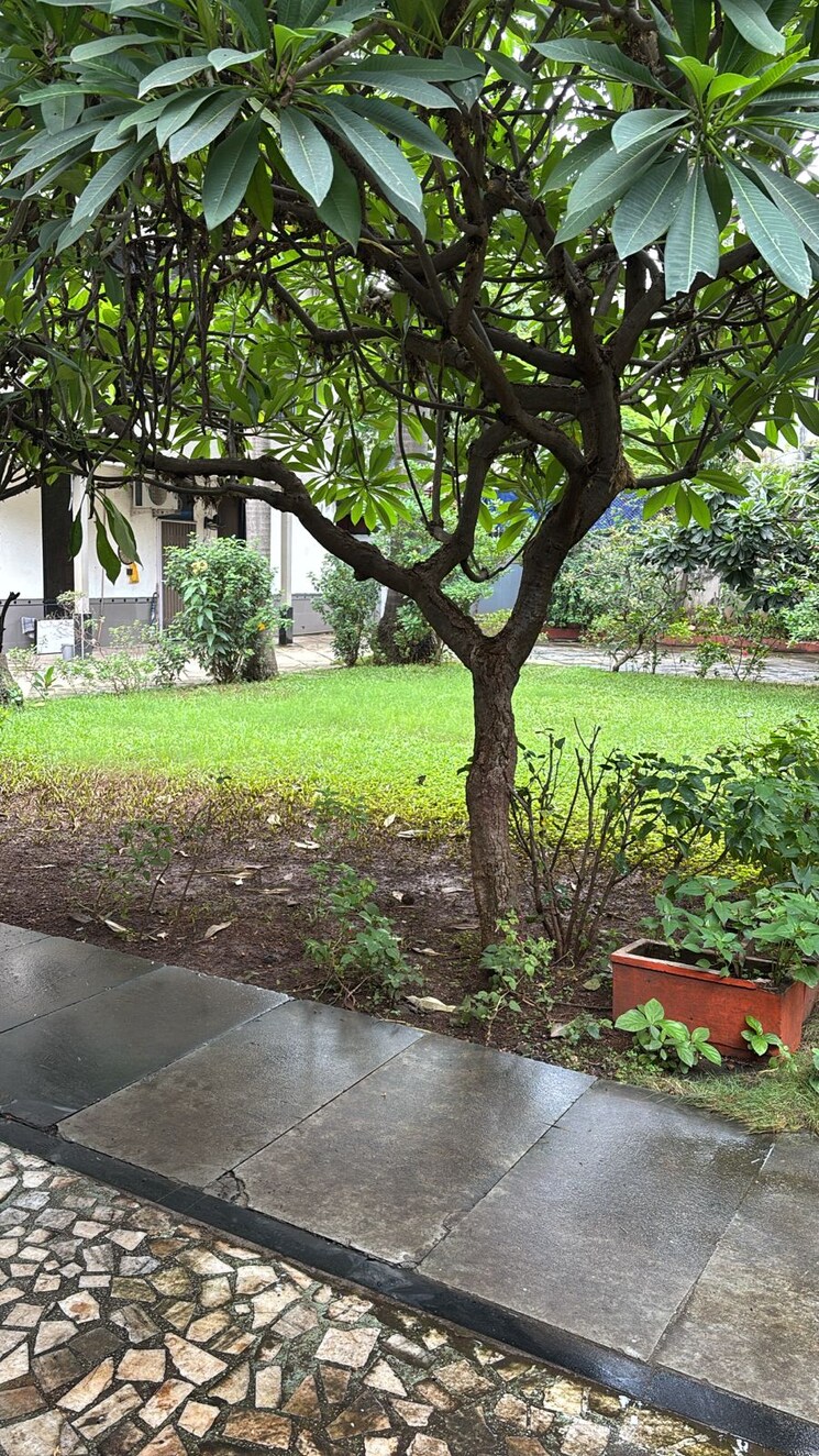 Garden, malad east 5 Bedroom 15000 Sq.Ft. Independent House In Malad East Mumbai 9047251