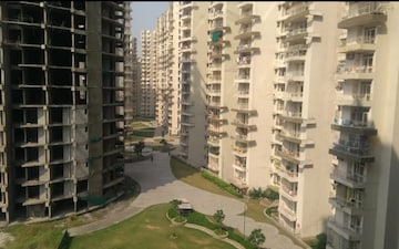 2 BHK Apartment For Rent in Amrapali Golf Homes, Sector 4 Greater Noida