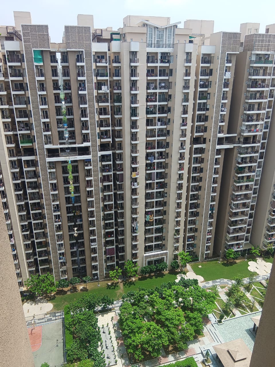 2 BHK Apartment For Rent in Ace Divino