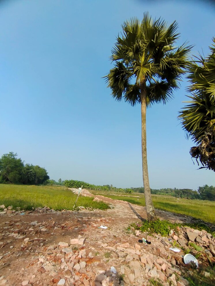 Garden, joka  2882 Sq.Ft. Plot In Joka Kolkata 9048004