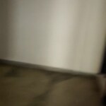 1.5 BHK 400 Sq.Ft. Builder Floor in Rohini Sector 24