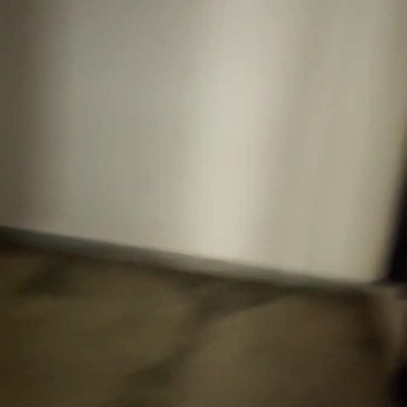 1.5 BHK Builder Floor For Rent in Rohini Sector 24