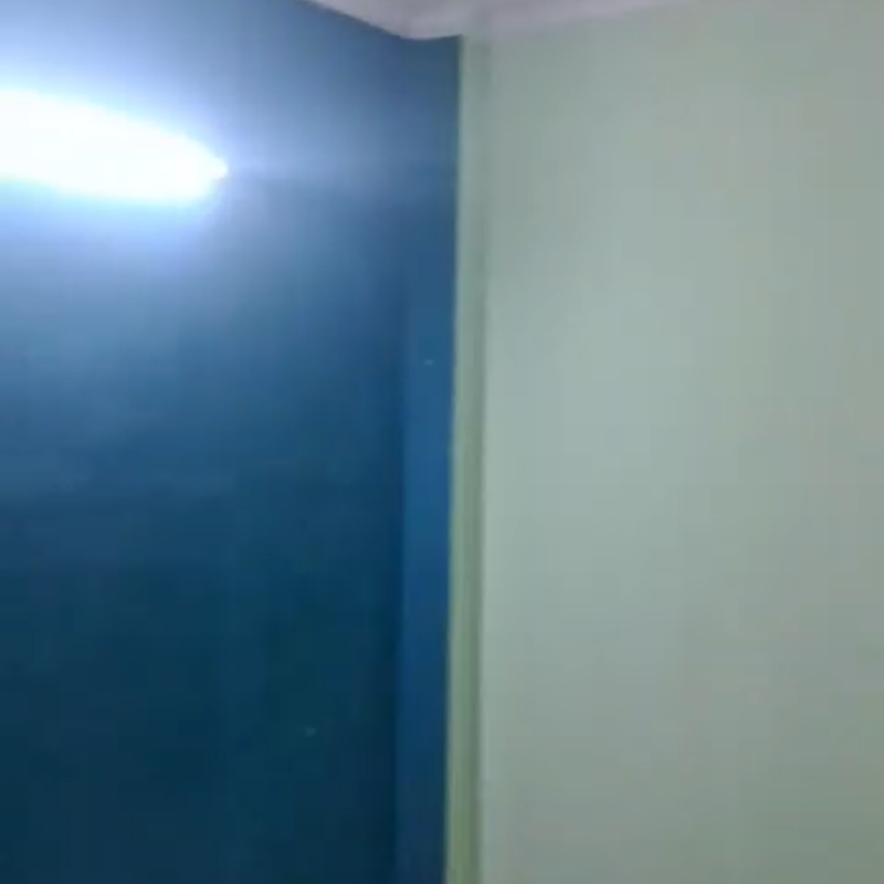 2 BHK Builder Floor For Rent in Rohini Sector 24