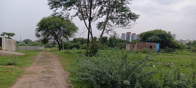 Garden, nara  1500 Sq.Ft. Plot In Nara Nagpur 9048377