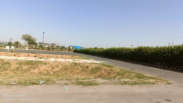  Plot For Sale in Sector 24
