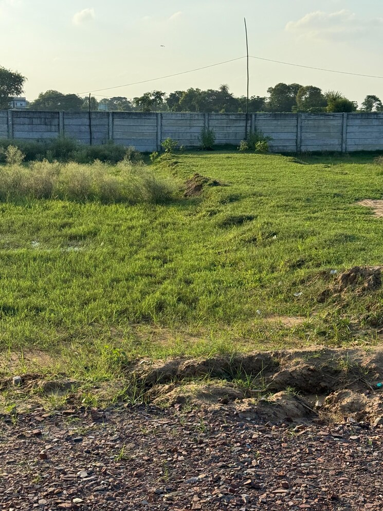 undefined, sikandrabad  100 Sq.Yd. Plot In Sikandrabad Bulandshahr 9048818