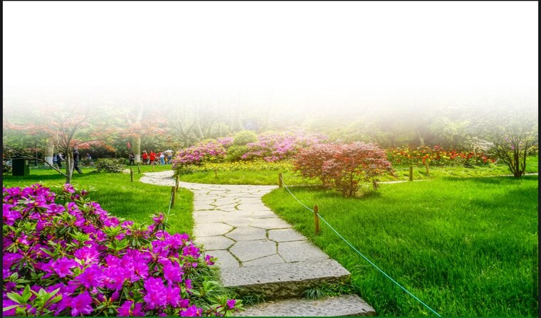 Garden, mapsko-aspr-hills  115 Sq.Yd. Plot In Sector 78 Gurgaon 9048867