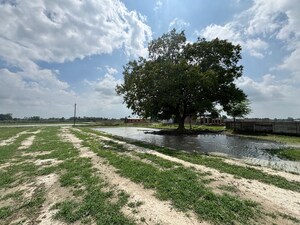 Plot Area in  Plot at Itaunja – for Sale