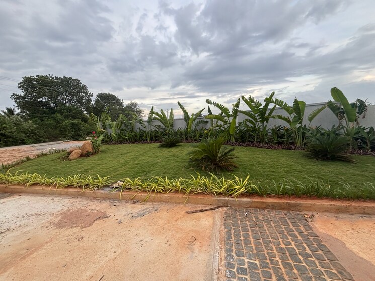 Garden, kongar khurd  201 Sq.Yd. Plot In Kongar Khurd Hyderabad 9049725