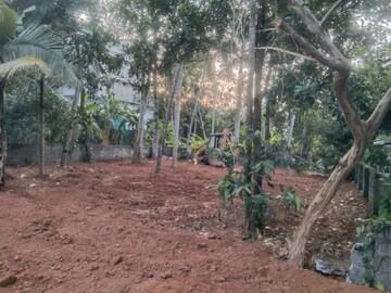  Plot For Sale in Kuravankonam