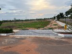 300 Sq.Yd. Plot in Newmark Gardenia