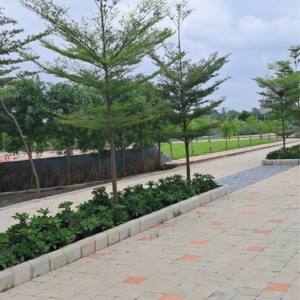 Plot Area in  Plot at Surabardi – for Sale