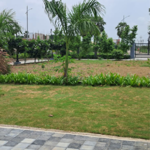 Plot Area in  Plot at Surabardi – for Sale