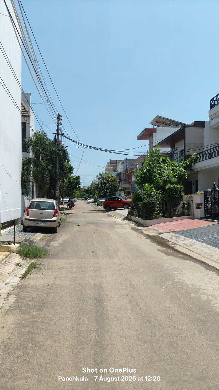 Exterior View, sector 26 5 Bedroom 250 Sq.Yd. Independent House In Sector 26 Panchkula 9049988