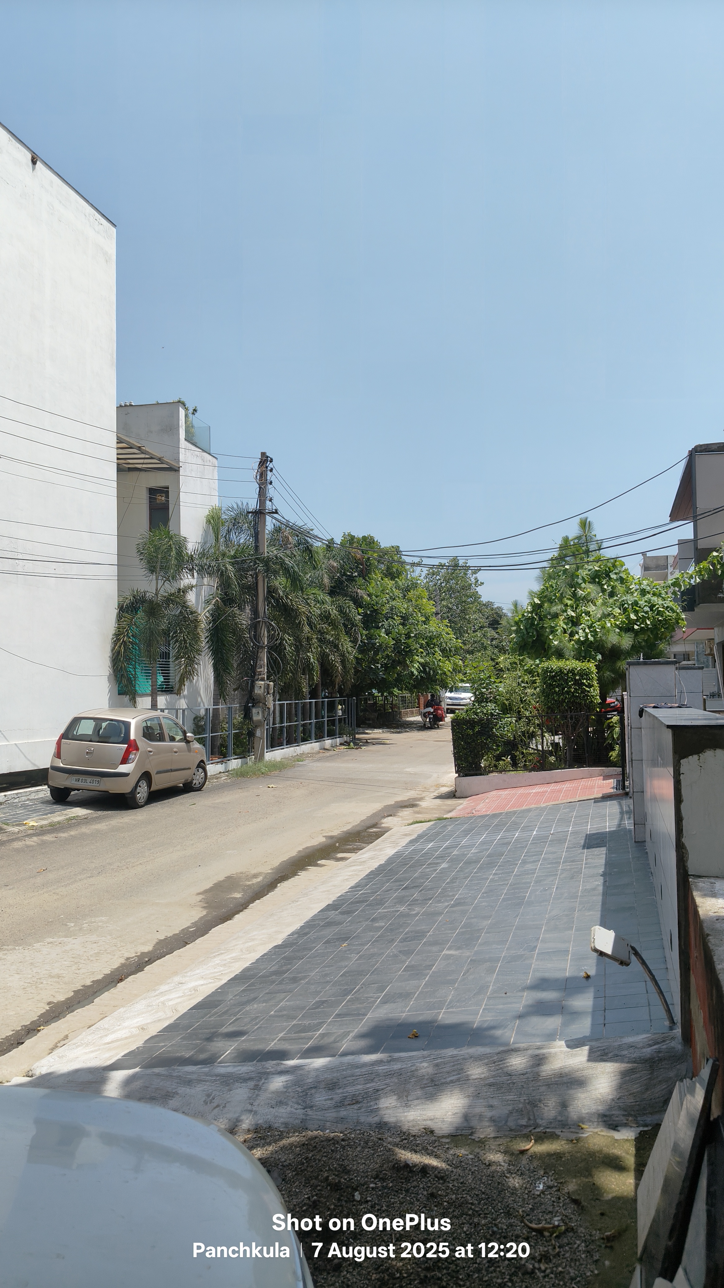 5 BHK + Servant Room Independent House For Sale in D R Estate 