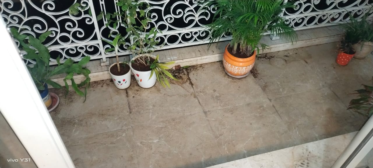 3 BHK Apartment For Rent in Hiranandani Cardinal