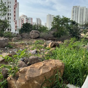 Plot Area in  Plot at Shadnagar – for Sale