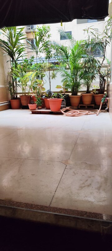 Living Room in 2 BHK Apartment at Andheri West – for Rent