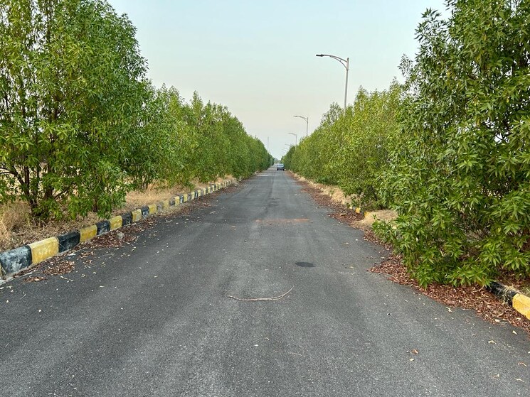 Garden, jb-nature-valley  200 Sq.Yd. Plot In Choutuppal Hyderabad 9050551