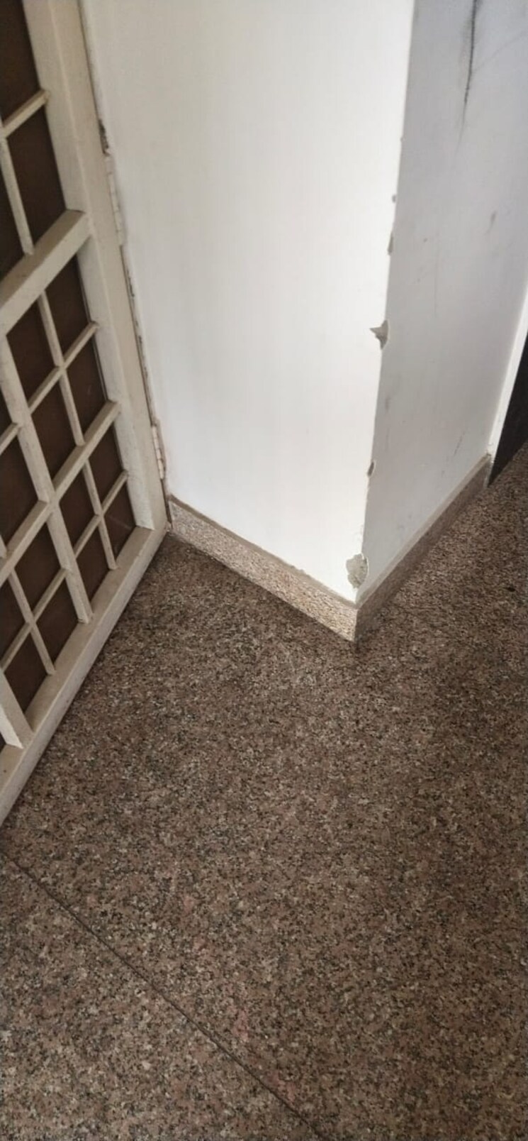 Balcony, gulshan-vivante 2 Bedroom 1220 Sq.Ft. Apartment In Sector 137 Noida 9050763