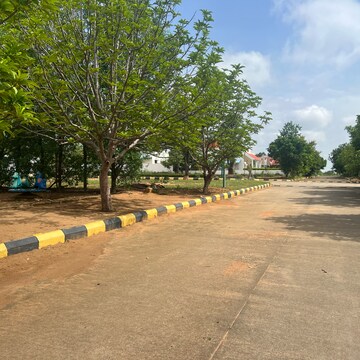 Plot Area in  Plot at Fortune 18, Amangal – for Sale
