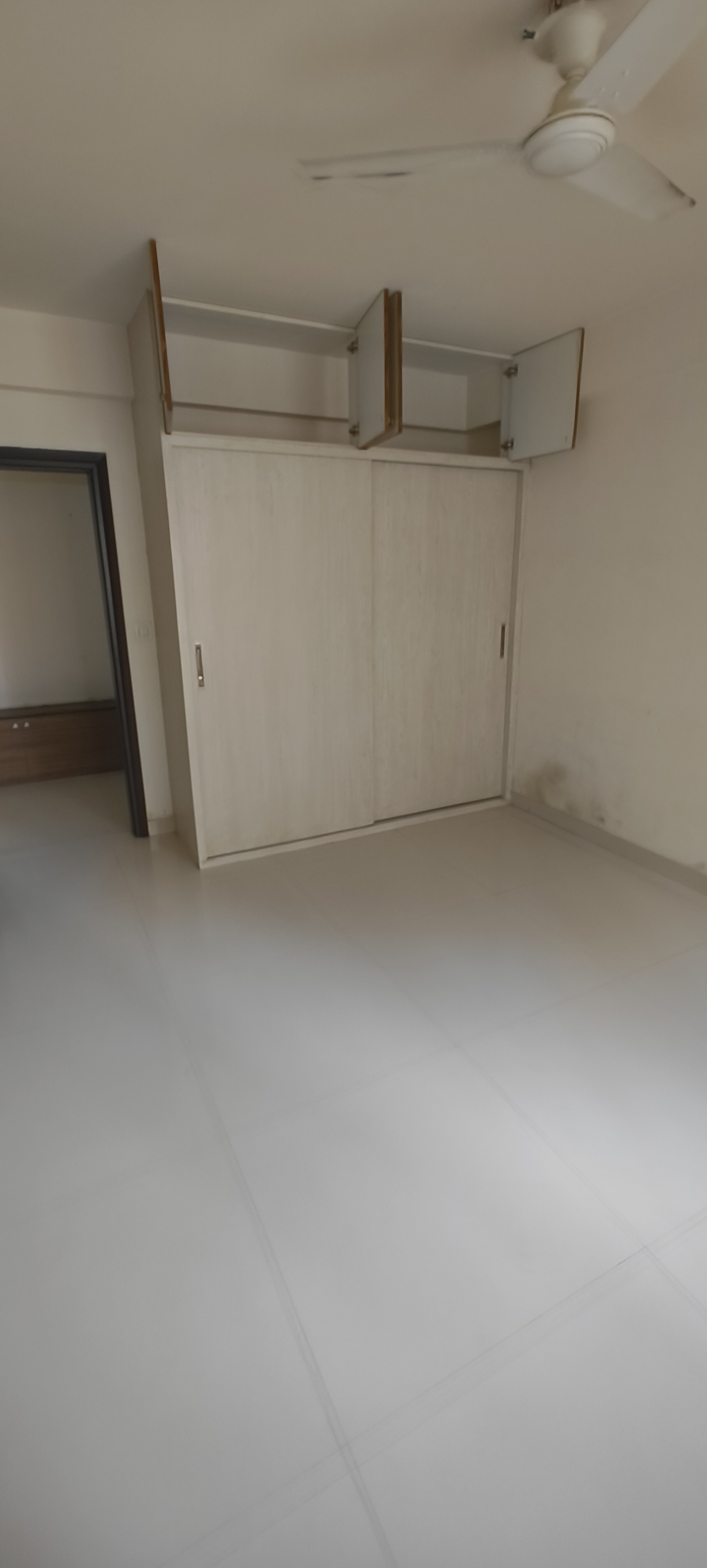 3 BHK + Pooja Room 1958 Sq.Ft. Apartment in Cedar Luxuria