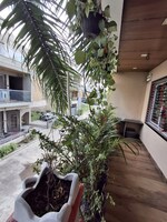 1800 Sq.Yd. Plot in Surat