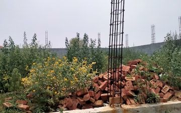 Plot For Sale in Baslambi