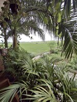 2400 Sq.Yd. Plot in Surat