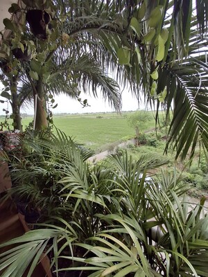  Plot For Sale in Athwalines