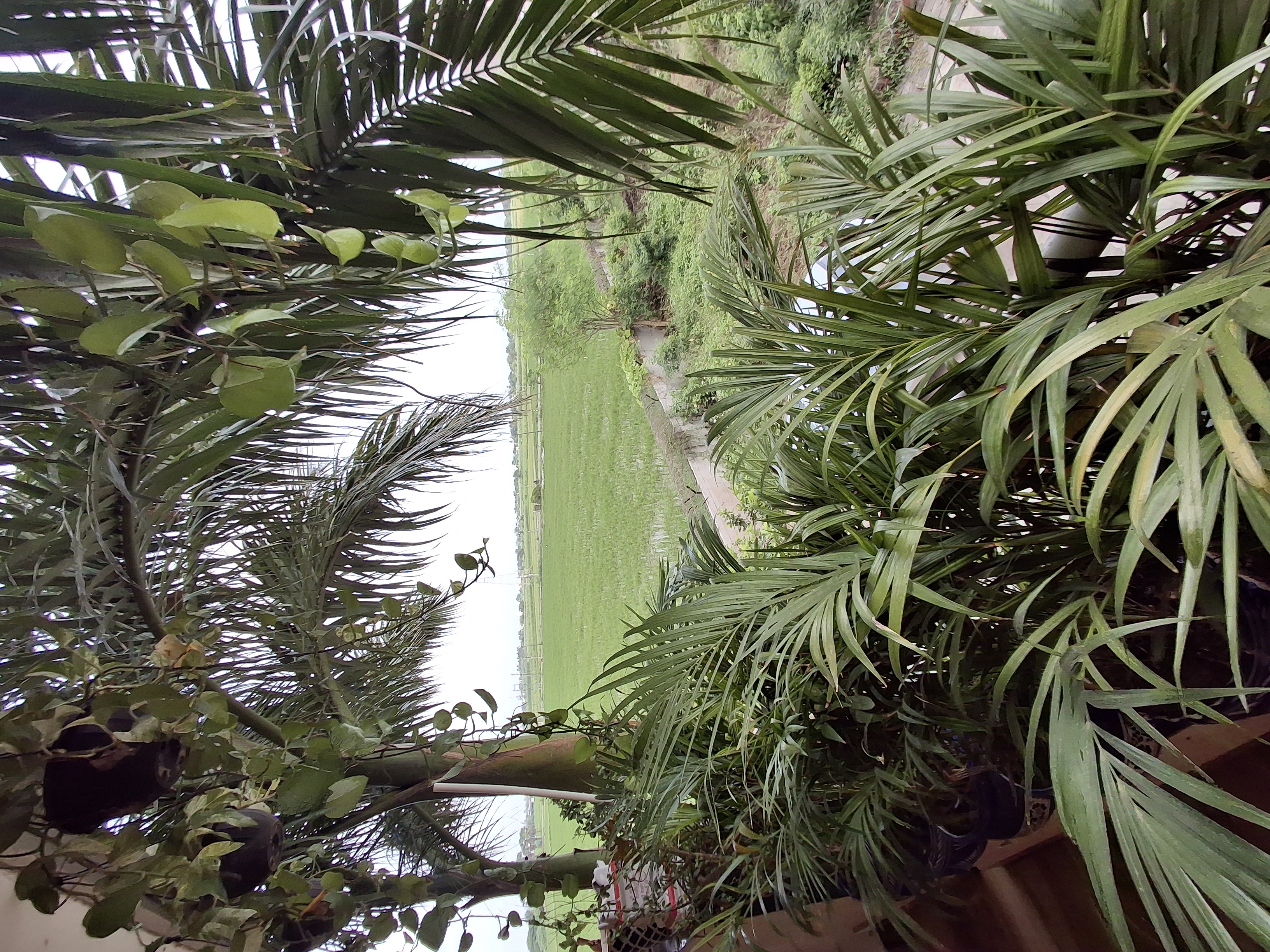 Plot For Sale in Surat