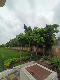 Plot For Sale in Ringnodiya