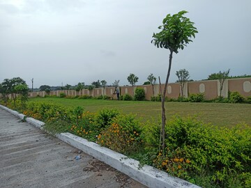 Plot Area in  Plot at Ringnodiya – for Sale