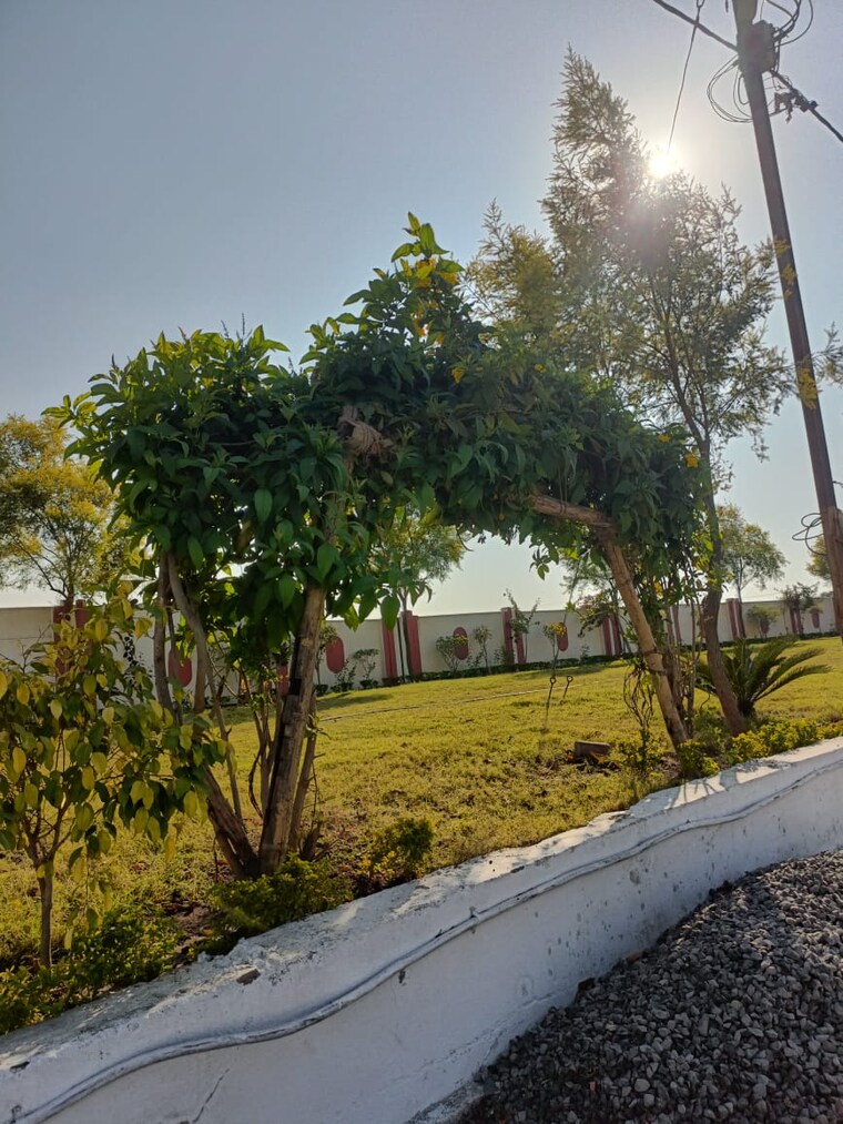 Garden, ringnodiya  1050 Sq.Ft. Plot In Ringnodiya Indore 9051464