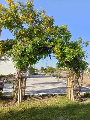  Plot – Garden View at Ringnodiya - for Sale