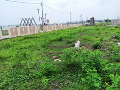 Plot For Sale in Ringnodiya