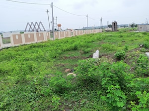  Plot For Sale in Ringnodiya