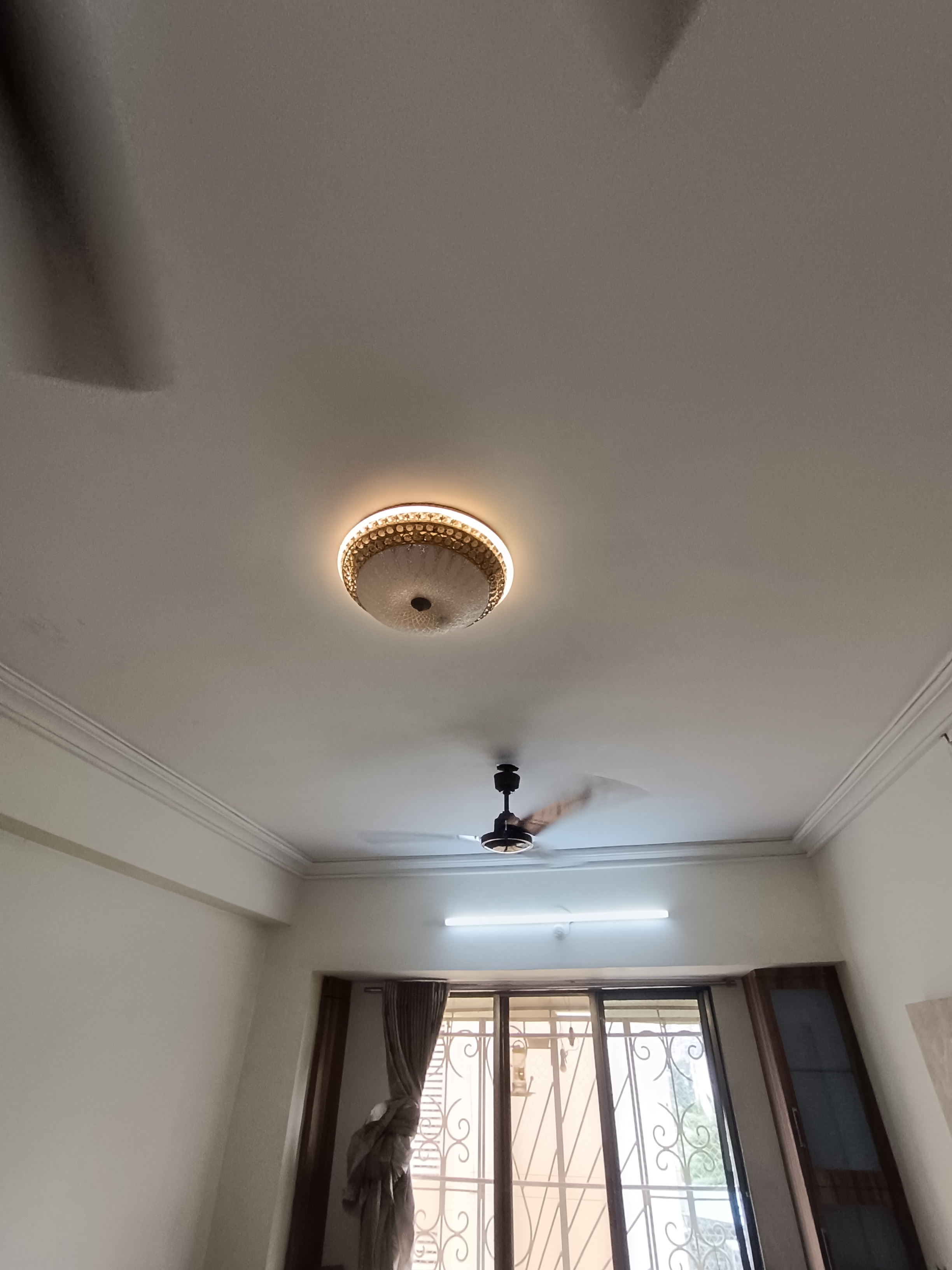 1.5 BHK + Pooja Room,Servant Room,Study Room,Extra Room Apartment For Rent in Balaji Residency Seawoods