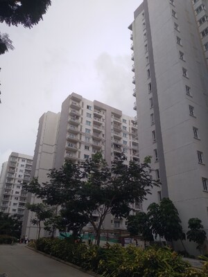 3 BHK Apartment For Sale in LnT Raintree Boulevard, Hebbal