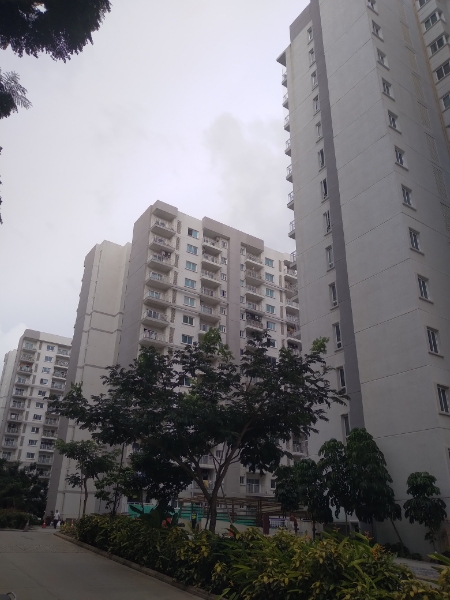 3 BHK Apartment For Sale in LnT Raintree Boulevard