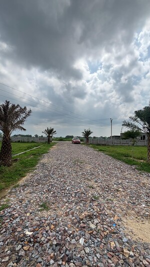  Plot – Exterior View View at Jattari - for Sale