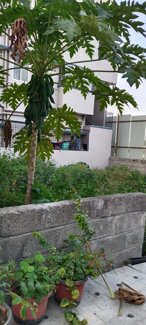  Plot – Exterior View View at Horamavu - for Sale