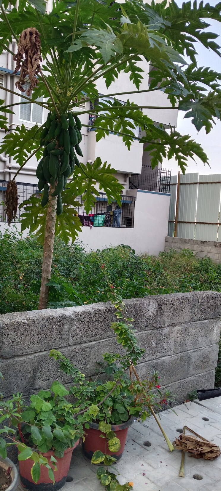 Exterior View, horamavu  1200 Sq.Ft. Plot In Horamavu Bangalore 9052457