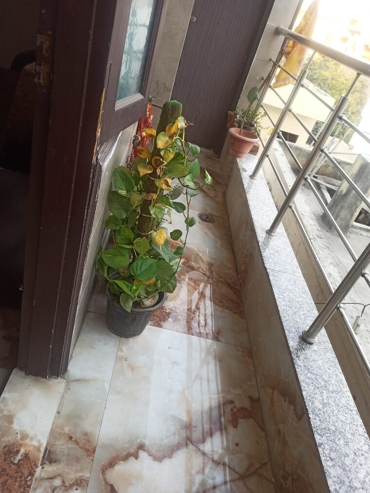 Balcony, mayur vihar phase 1 2.5 Bedroom 950 Sq.Ft. Builder Floor In Mayur Vihar Phase 1 Delhi 9052509