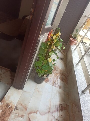Balcony in 2.5 BHK Builder Floor at Mayur Vihar Phase 1 – for Sale